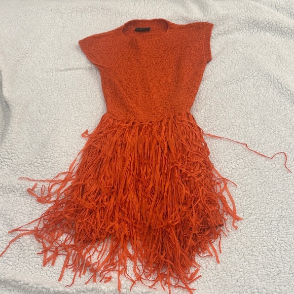 Vici Dresses & Skirts - Vici Vibrant Orange Fringe Mini Dress